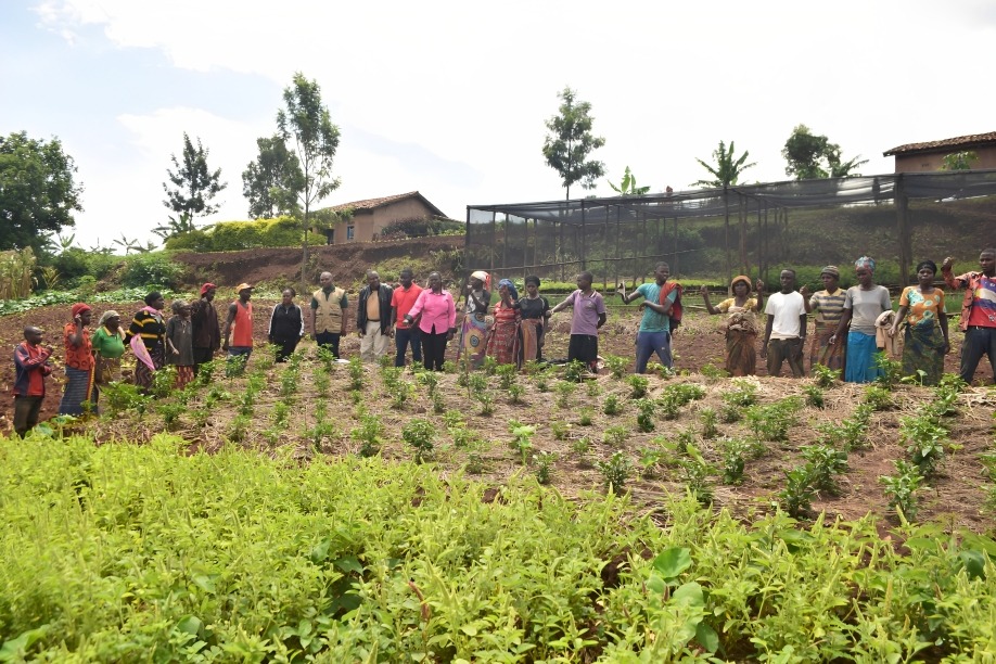 Agricultural Research